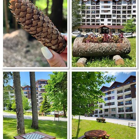 The Green Apartment Borovets Exteriör bild