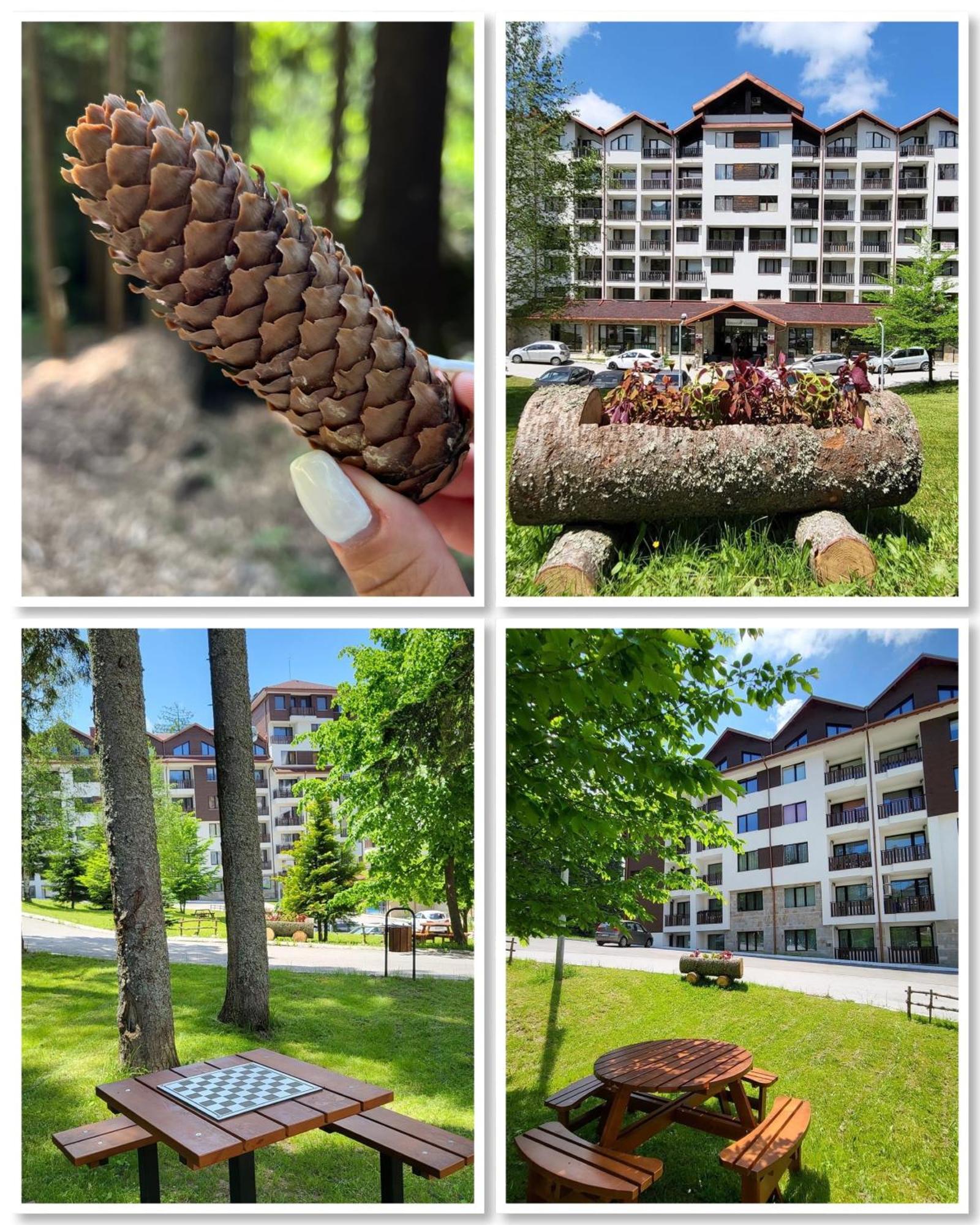 The Green Apartment Borovets Exteriör bild