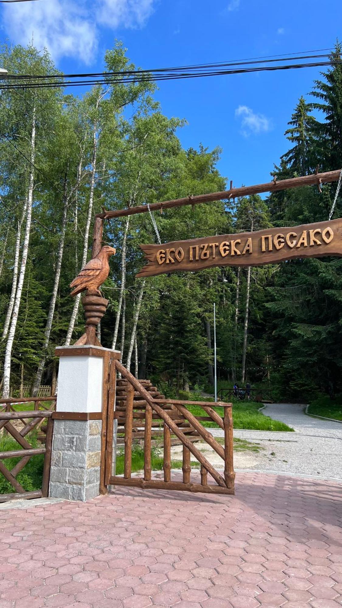 The Green Apartment Borovets Exteriör bild